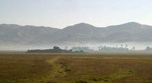 Load image into Gallery viewer, Ethiopian Guji Kercha