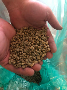Ethiopian Guji Kercha