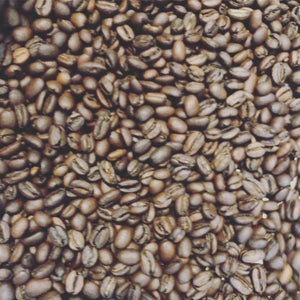 Ethiopian Guji Shakis